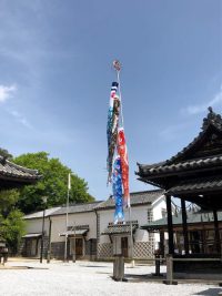 阿智神社の鯉のぼりと5月人形