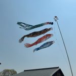 阿智神社の鯉のぼりと倉敷アイビースクエアの錦鯉