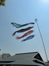 阿智神社の鯉のぼりと倉敷アイビースクエアの錦鯉