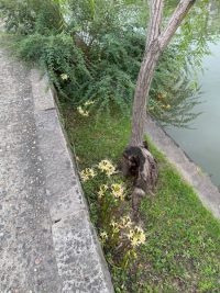 美観地区：少しずつ秋（2025年）