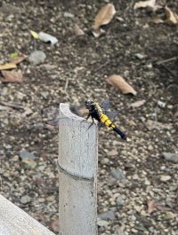 身近にあるシャッターチャンス