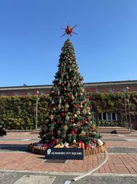 倉敷アイビースクエア中庭広場のクリスマスツリー🎄