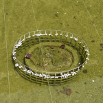 倉敷アイビースクエアの桜の花びらとメタセコイアの新芽