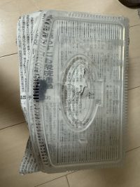 番外編：ヒラタクワガタ、産卵セットでの様子