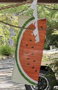 美観地区のてぬぐい🍉
