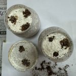 番外編：ヒラタクワガタの幼虫を菌糸ビンへ入れ替える